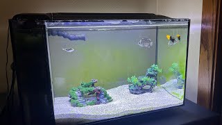 The Fluval Evo 135 Lives [upl. by Galloway]