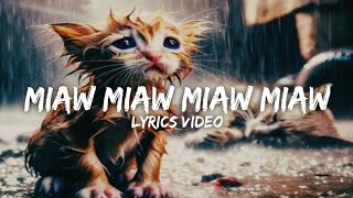 miaw miaw miaw miaw song sadLyrics video [upl. by Akitnahs]