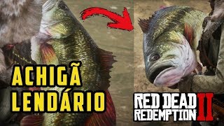 RED DEAD REDEMPTION 2 – ACHIGÃ LENDÁRIO LOCALIZAÇÃO DE PEIXES LENDÁRIOS  RDR2 100 [upl. by Barny]