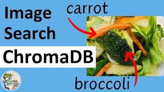 Getting Started with ChromaDB Image Search Multimodal Embeddings [upl. by Skyler]