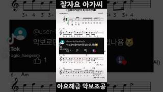 못말리는 아가씨 ASMRZ 해금악보 [upl. by Assilak]