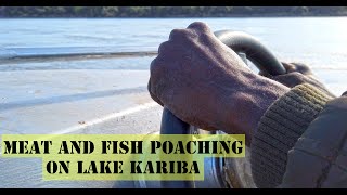 Meat and Fish Poaching on Lake Kariba [upl. by Evars325]