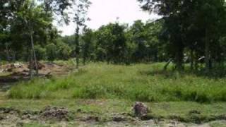 FOR SALE  Wagners Landing Homesite  Corozal BELIZE [upl. by Caplan]