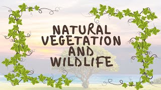 NATURAL VEGETATION AND WILDLIFE  CLASS 9  GEOGRAPHY  CHAPTER 5 [upl. by Nuawad]