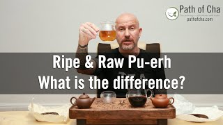 Ripe vs Raw Puerh Tea The Differences Between Sheng and Shou Puer [upl. by Vasta896]