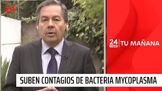 Suben contagios con bacteria mycoplasma qué es síntomas y cómo puede generar neumonía  24 Horas [upl. by Charmaine]