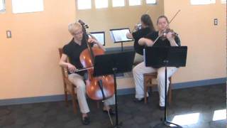 Bach Arioso for Violin and Cello Duet [upl. by Aholla]