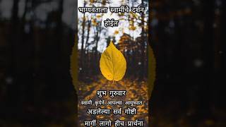 swami samarth 🌹 shreeswamimotivationsong music swamikripa [upl. by Omora]