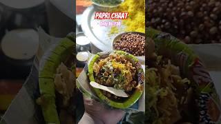 Best Papri Chaat at ₹30 shorts paprichaat streetfood food tarikulvlogs ytshorts [upl. by Takara219]