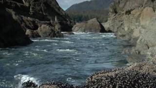 Hot Springs Cove Tofino The Experience  British Columbia Canada [upl. by Bree111]