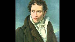 Partially Examined Life podcast  Schopenhauer  Principle of Sufficient Reason [upl. by Erund]