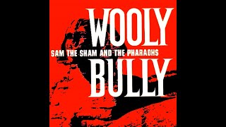 Sam The Sham And The PharaohsWooly BullyExtended Mix [upl. by Cimbura]