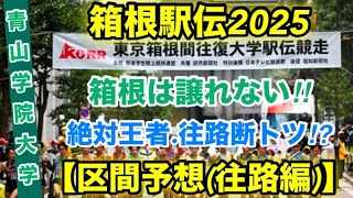 最強世代‼︎【青山学院大学】区間予想〜往路編〜【箱根駅伝2024】 [upl. by Edualcnaej]