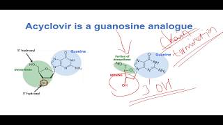 Mechanism of Action of Acyclovir [upl. by Nnaillij]