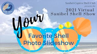 Your Favorite Shell Photo Slideshow [upl. by Llovera]