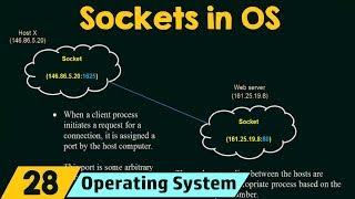 Sockets in Operating System [upl. by Ardnahsal]