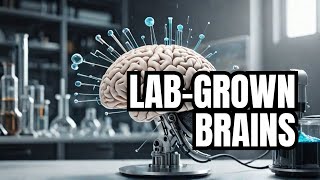 🧠 The Fascinating World of LabGrown Brains Breakthroughs and Implications 🔬 [upl. by Adia]