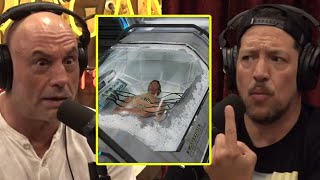 The Future Of Cheating Death  Joe Rogan amp Sal Vulcano [upl. by Aehr]