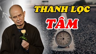 Cách vượt qua mọi Cảm Xúc Tiêu Cực để sống trọn từng giây phút  Thiền Sư Thích Nhất Hạnh [upl. by Ecinwahs122]