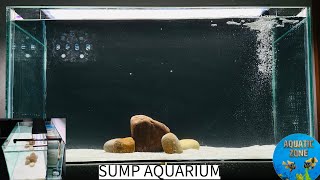 How To Setup Goldfish Sump Aquarium  Aquarium With Internal Sump  Easy Sump Aquarium Tutorial [upl. by Hays]