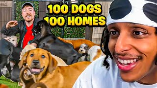 Mr Beast Found 100 Dogs 100 Homes [upl. by Notgnirrac]