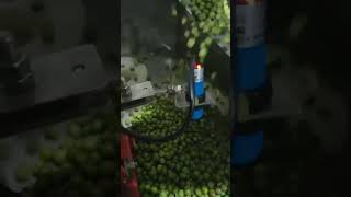 Automatic Snack Filling and Packing Machine 008617521125205 [upl. by Slayton987]