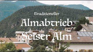 Almabtrieb Seiser Alm  Kastelruth [upl. by Farnham561]