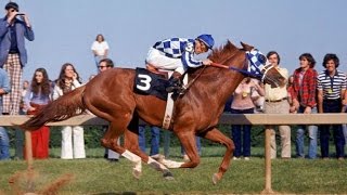 Preakness Stakes 1973 [upl. by Hope]