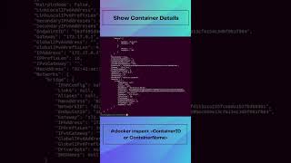 Docker Inspection Commands Part 02 devops linux docker command TiniTone foryou viral fyp [upl. by Sarge]