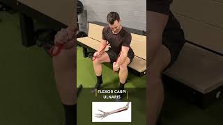 How to Protect Your UCL amp Medial Elbow [upl. by Enerahs]