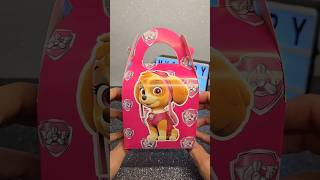 Skye Paw Patrol Mystery Box pawpatrol surprise asmrtoys unboxingtoys toys cutetoys [upl. by Blus43]