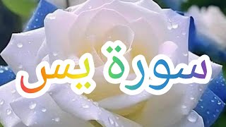 Surah Yaseen سورۃ يس with Urdu translation  Quran with Urdu translation  قاری عبیدالرحمن [upl. by Hannej]