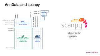 06 Basic QC and data analysis with Scanpy [upl. by Natsyrk]