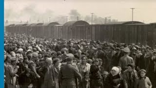 The deportation of Jews from Hungary and Lodz to Auschwitz Birkenau 1944 [upl. by Narod]