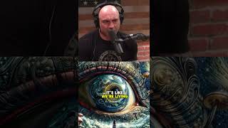 Joe Rogan talks about psychedelics and his views on it in his podcast shorts joeroganpodcast [upl. by Noicnecsa575]