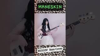 MÅNESKIN Beggin BASS COVER [upl. by Lletnahc484]