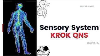 Solving Sensory system Krok questions  Physiology Class12 [upl. by Laveen]