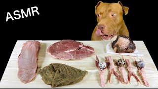 ASMR MUKBANG PITBULL EATING RAW FOODS Whale Ribs Duck Tongue Quail Eggs Pork tongue Omasum Lamb [upl. by Pilif13]