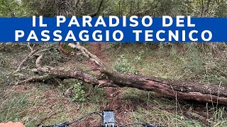 IL PARADISO DEL PASSAGGIO TECNICO in mtb sul Carso E a Monfalcone [upl. by Llerud]