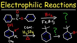 Electrophilic Aromatic Substitution Reactions Made Easy [upl. by Harpp]