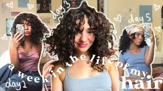 WEEK IN THE LIFE OF MY 2c3a CURLY HAIR Wash dayday 6 routine refreshing sleeping hairstyles [upl. by Janette]