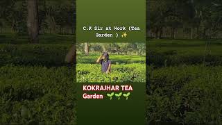 Baganiya Songs  KOKRAJHAR Tea Garden🌱🌱baganiyasongs AalBaalVideo [upl. by Bernardi282]