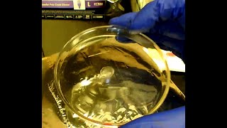 How to prepare a polymer thin film [upl. by Yenahpets]