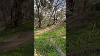 Bendigo trails [upl. by Nojid]