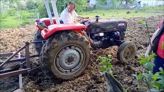 MASSEY FERGUSON 255 TURBO LEYLAND 184 TIRMIK [upl. by Drofla]