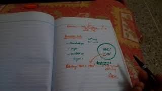 BETA OXIDATION OF FATTY ACIDS part 3beta oxidation of saturated fatty acids [upl. by Randene202]