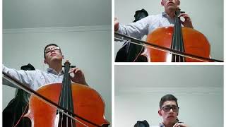 Bittersweet  Cello Cover  Apocalyptica [upl. by Bryana712]