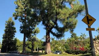 Take a tour of the Trousdale Estates area in the City of Beverly Hills 90210 with Christophe Choo [upl. by Carvey]