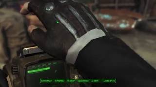 WIP preview Visible Companion Affinity v40  Fallout 4 mod ingame sorting mod compatibility [upl. by Frederick748]