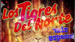 LOS TIGRES DEL NORTE 30 ÉXITOS INOLVIDABLES  LOS TIGRES DEL NORTE PURAS ROMÁNTICAS DEL RECUERDO [upl. by Darb]